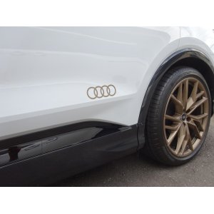 画像: Audi純正Q4用フォーリングスステッカーセット